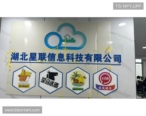 体育场馆内的移动支付环境优化调研